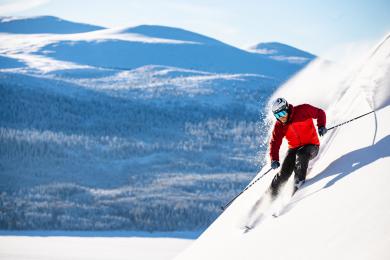 Skier in Lofsdalen