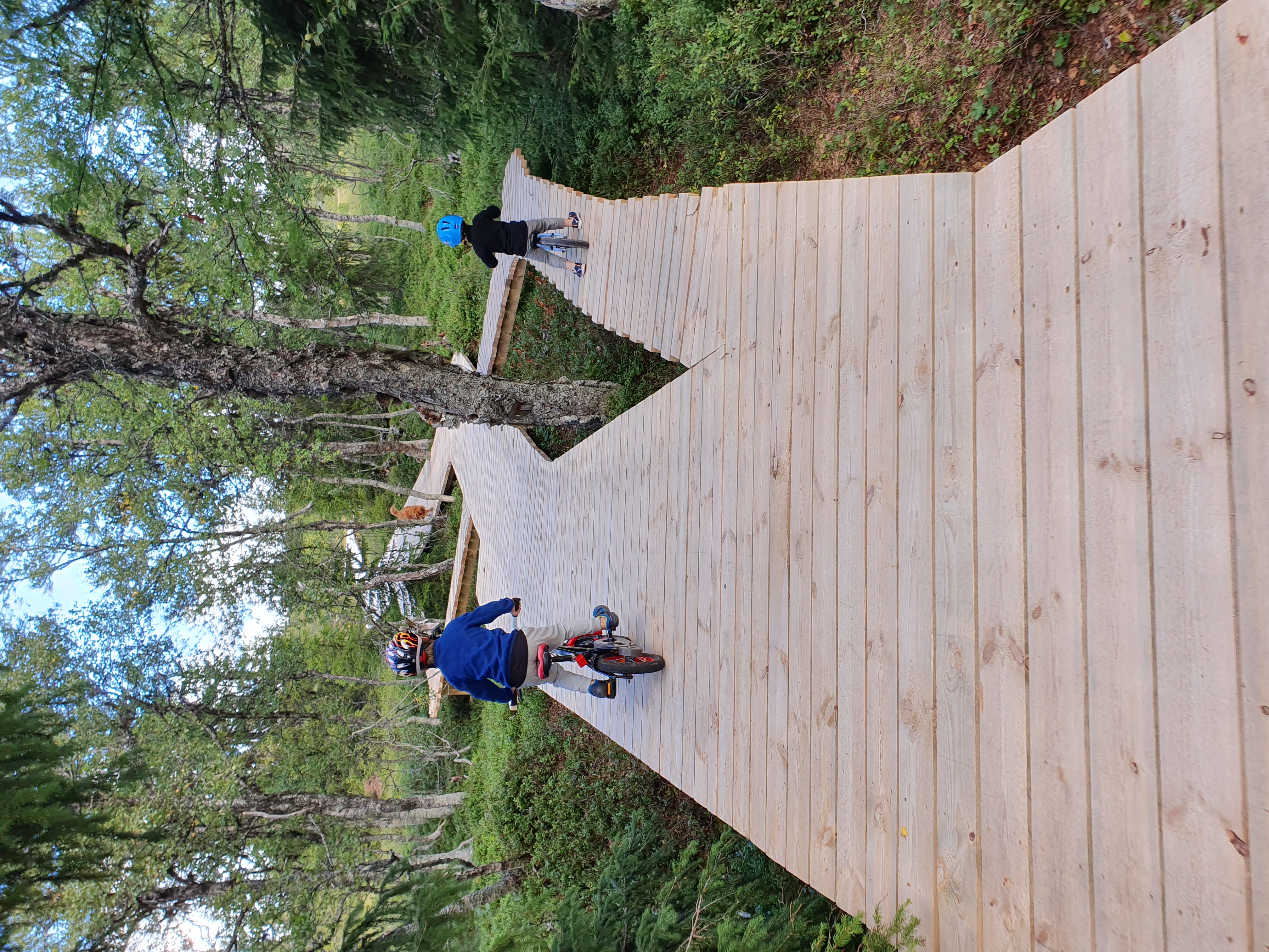 Panoramaleden i Lofsdalen. Cykel och vandringsled