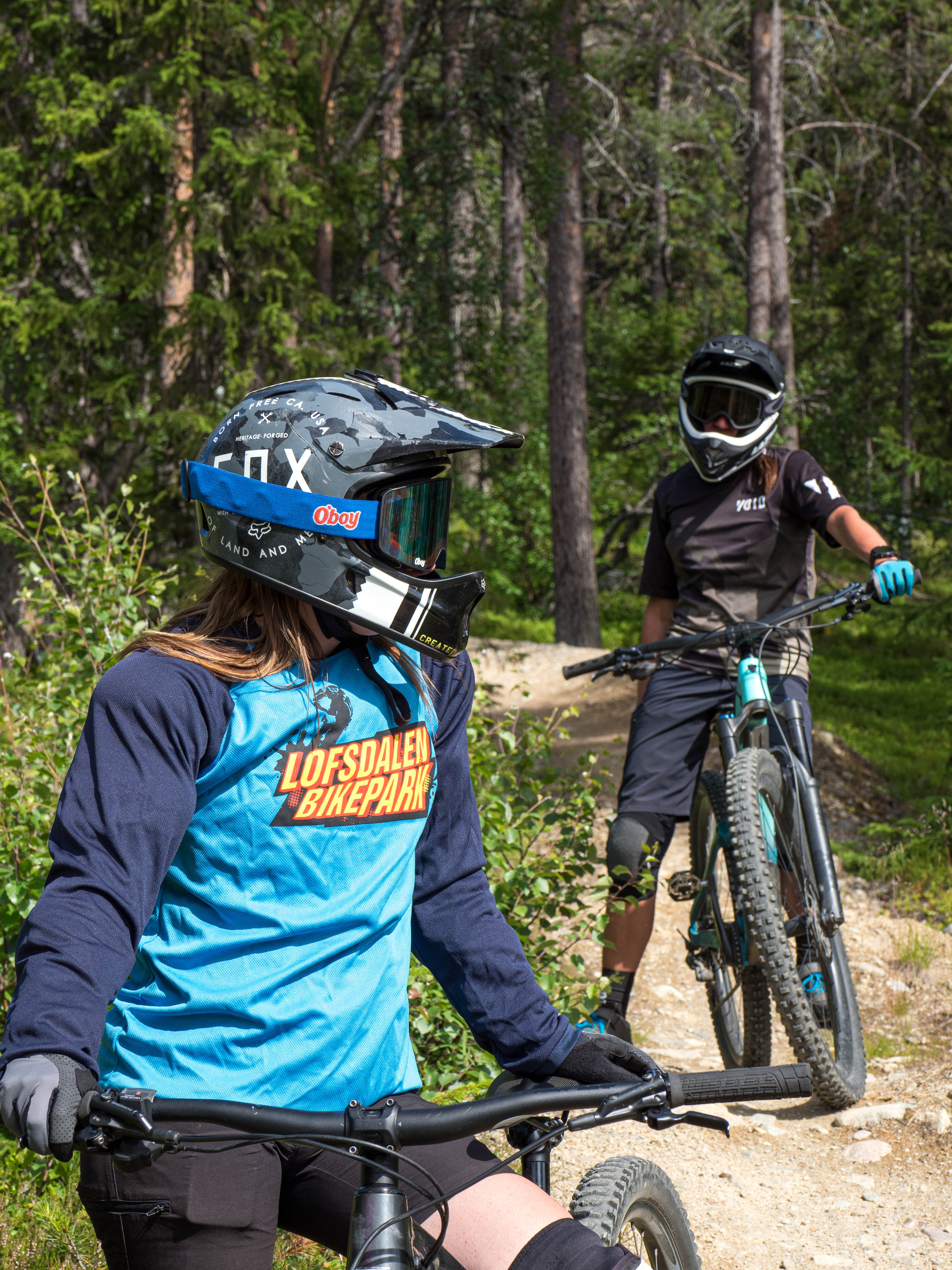 lofsdalen bikepark