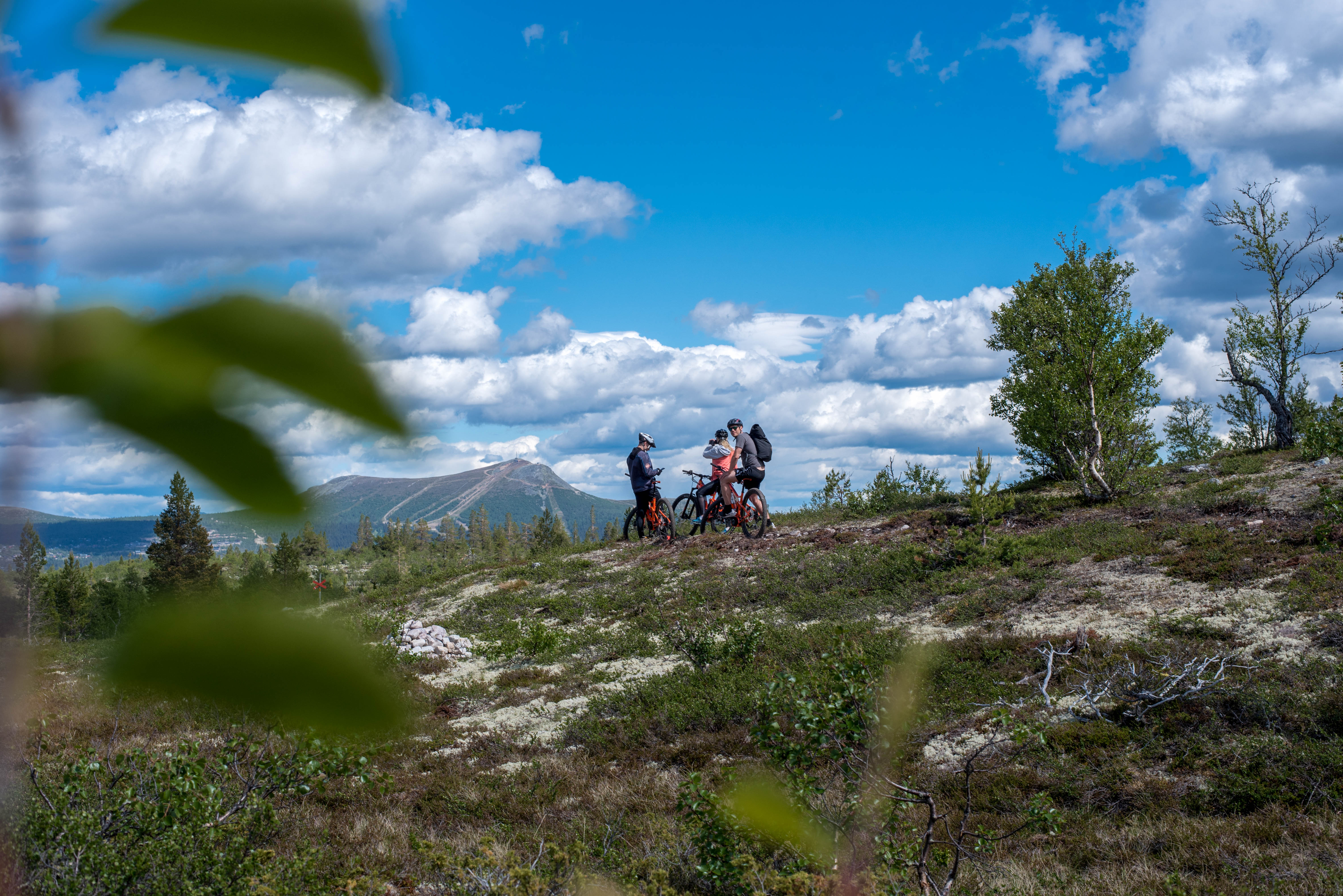 Stenrutsleden MTB
