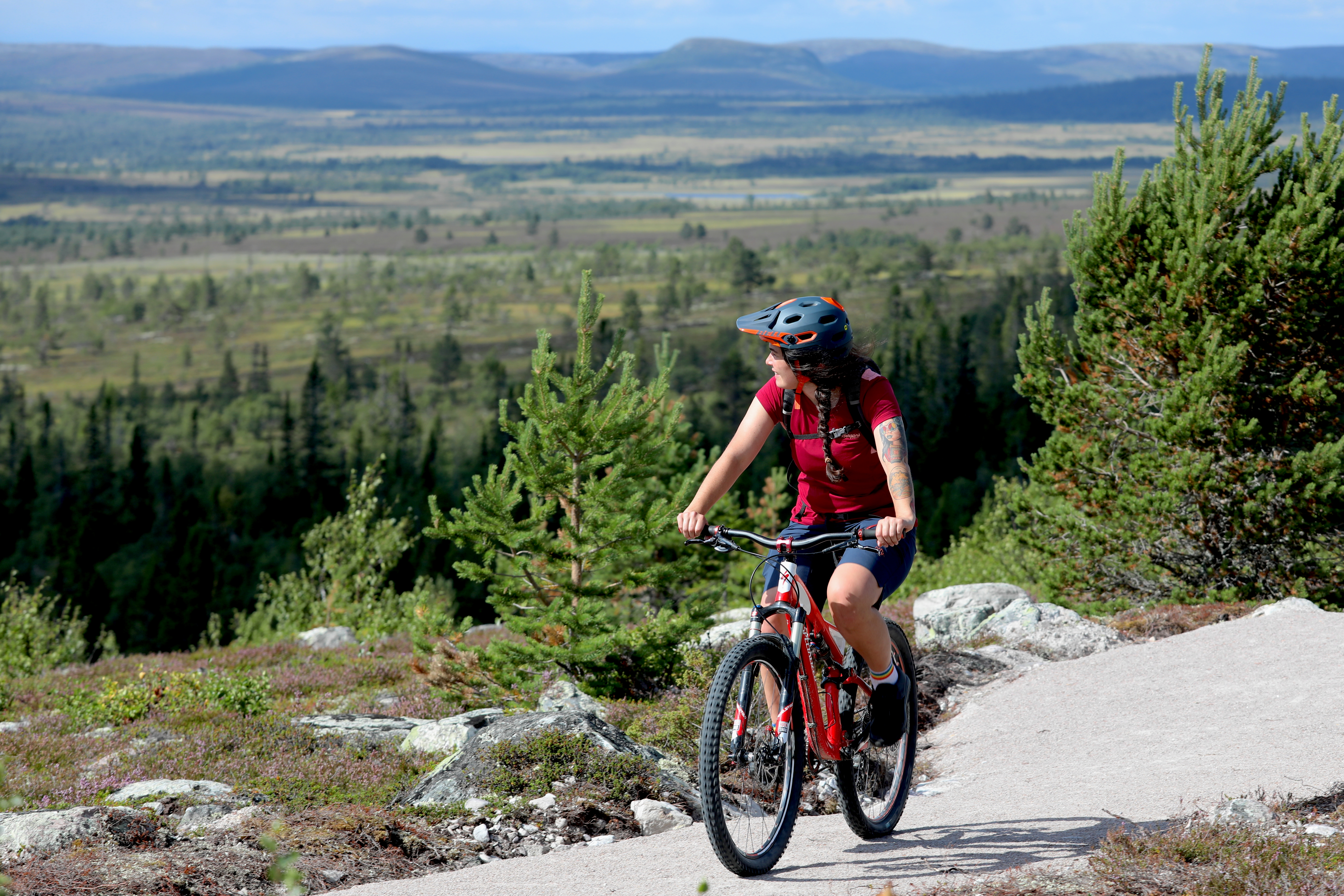 Stigcykling i Lofsdalen 