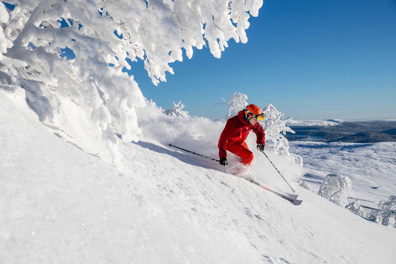 Ski pass  Lofsdalen