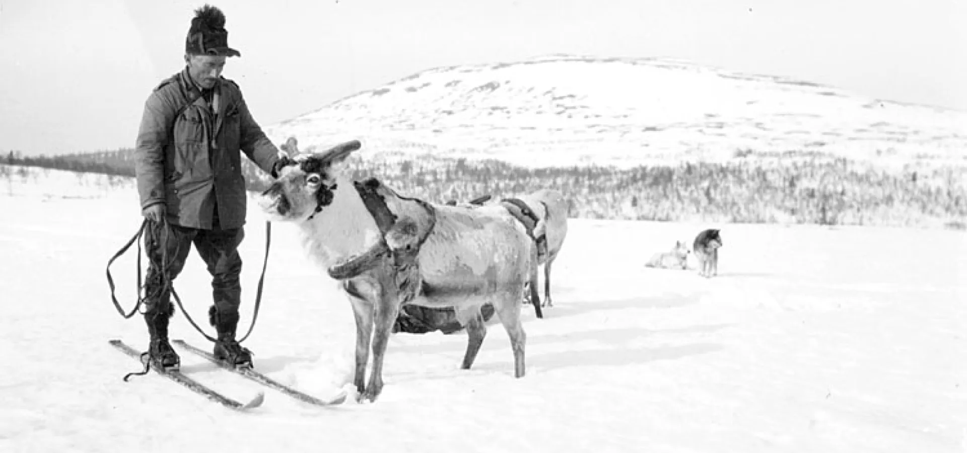 Samer i Lofsdalen