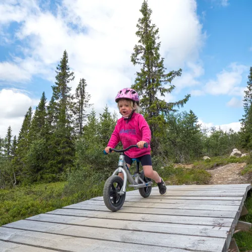 Cykelsnurren XC ( cross country) - easy trail
