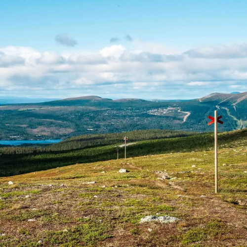fjäll