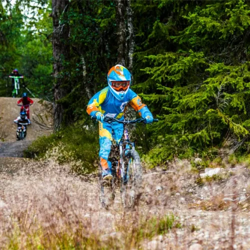 cykeluthyrare