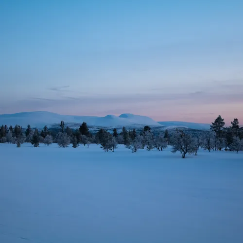 vinterlandskap 