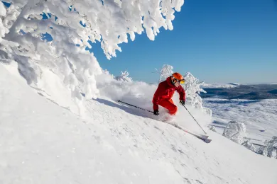 Skidåkning i Lofsdalen 