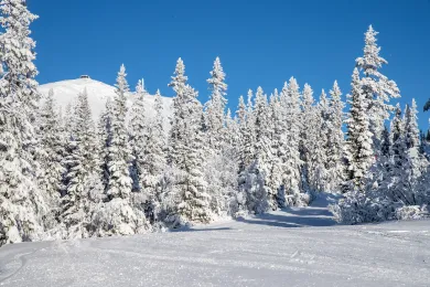 skidåkning i Lofsdalen 