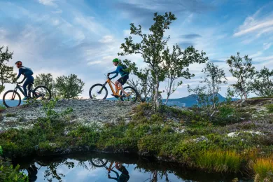 Cykling i LOfsdalen 