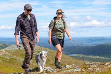 vandring Lofsdalen