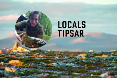 Locals tipsar - jerre 