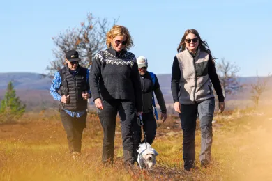 Vandring i lofsdalen