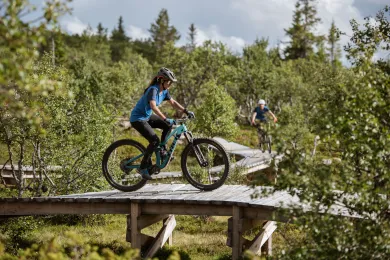 Sommar i Lofsdalen 