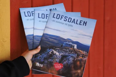 sommarmagasin