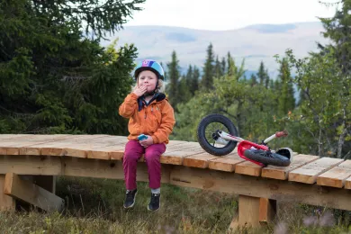 cykla i Lofsdalen
