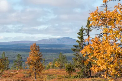 Höstvandring i Lofsdalen