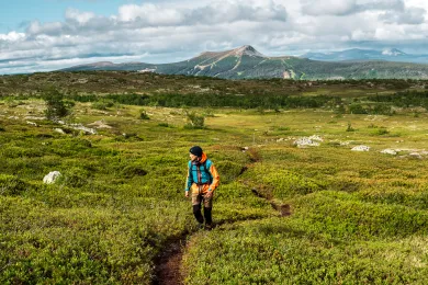 Fjällvandring