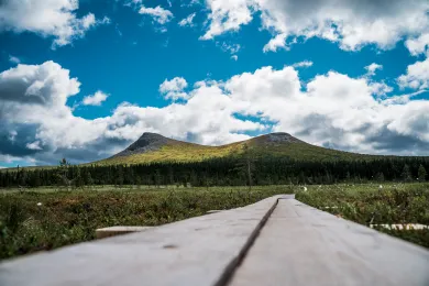 Vandra i Lofsdalen