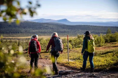 vandring Lofsdalen