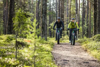 cykla i lofsdalen