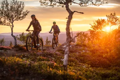 Stigcykling i fjällen
