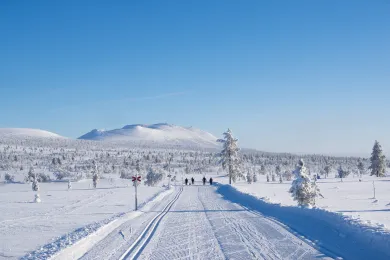 Längdåkning Lofsdalen