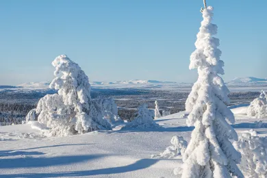 vinter