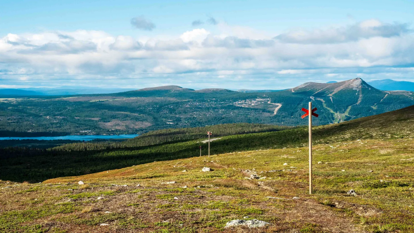 Sommar i Lofsdalen 