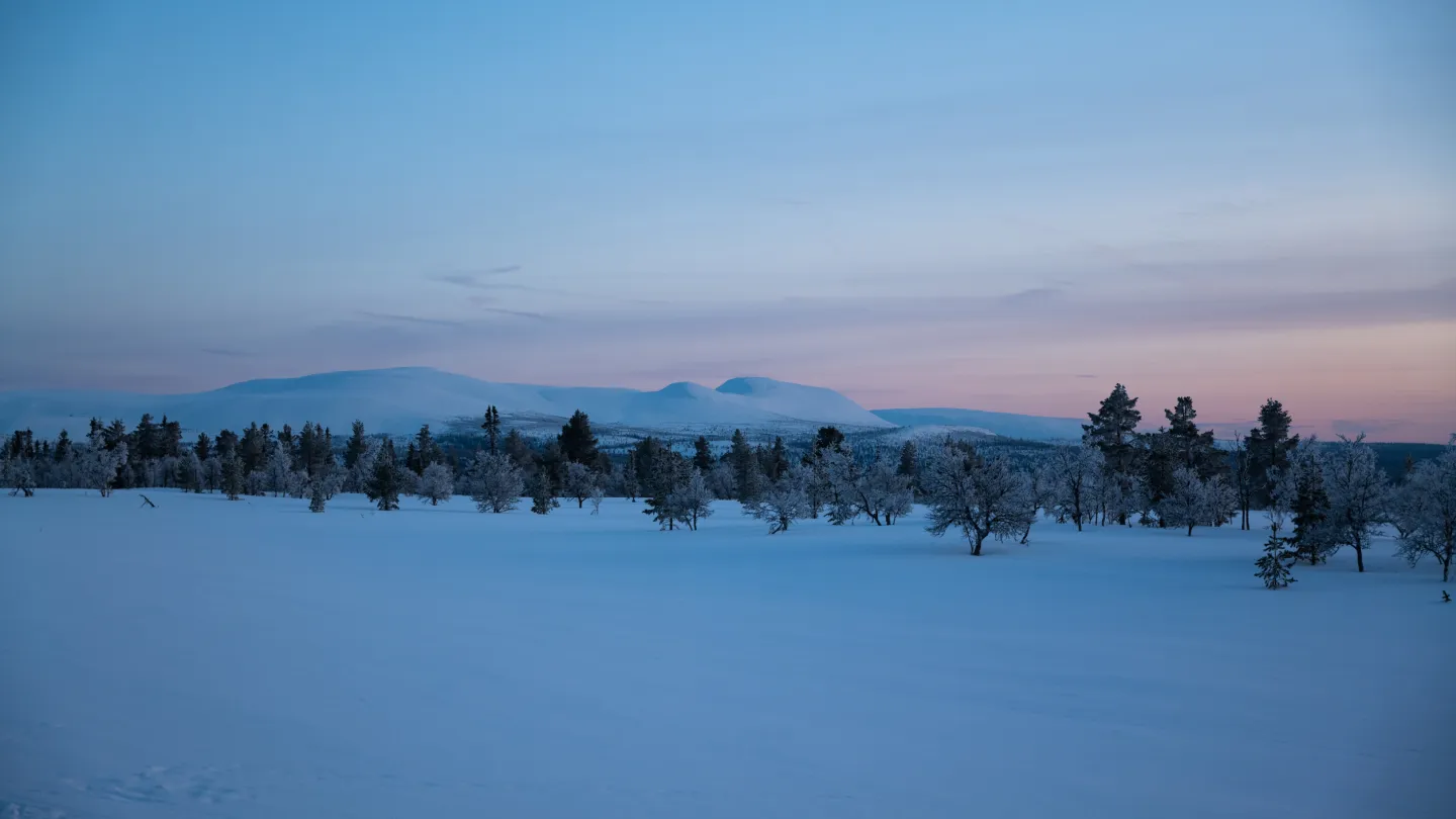 vinter